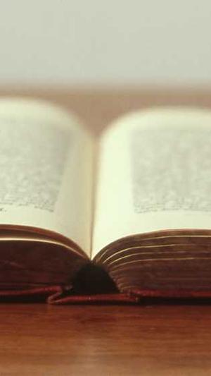 seo优化排名公司截图1