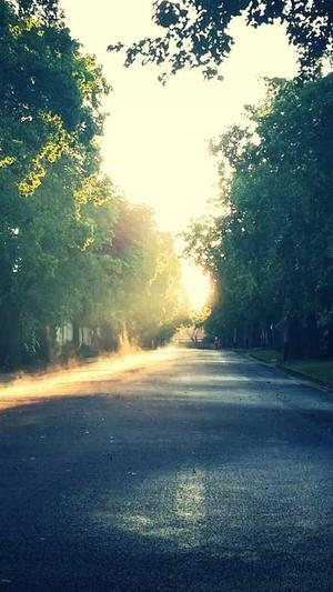 互点工具seo优化 s截图2