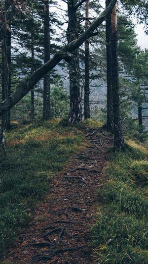 网站建设上海截图1