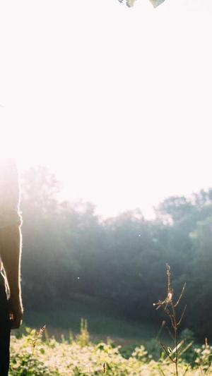 seo优化工具技巧截图2