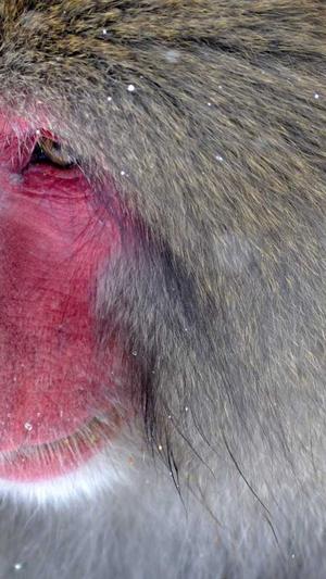 江苏网站建设截图3