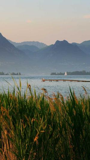 蜘蛛池的应用方法视频截图4