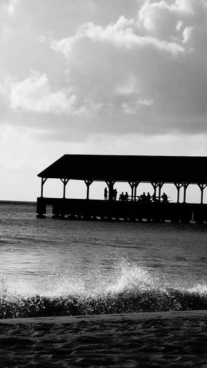 小旋风蜘蛛池有啥用截图2