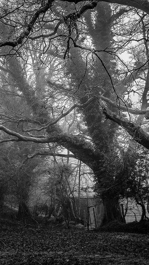 百度红蜘蛛池免费版截图1