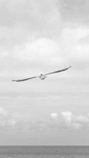 聊城网站建设截图2