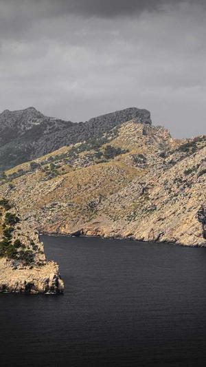 泛目录是ahua seо徽啊截图2