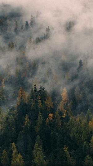 北京网站设计与建设截图3