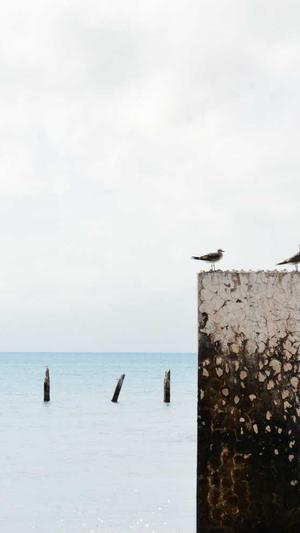 甘肃蜘蛛池出租平台截图2