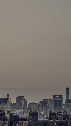 天津网站建设截图2