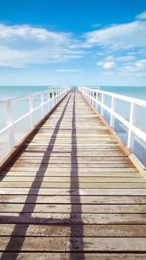 网站seo重庆截图2