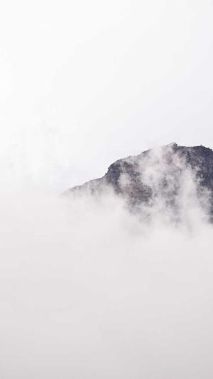 蜘蛛池破解截图1