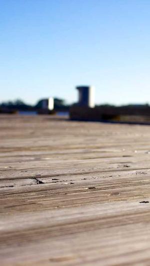 2020最新泛目录截图2