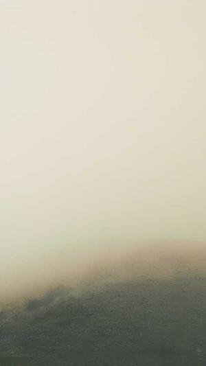 武汉seo万词霸屏工具截图3