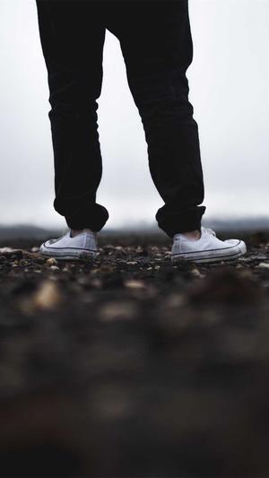 免费蜘蛛池搭建方法截图2