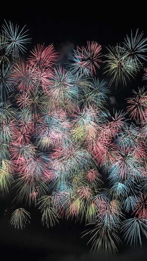 新闻模板蜘蛛池截图4