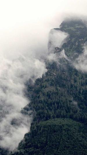 广州高端品牌网站建设哪家公司好截图3