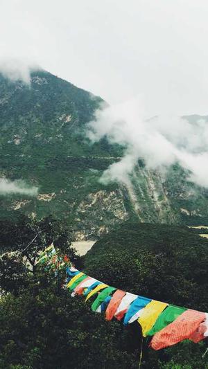 蜘蛛池出租包月找哪家截图1