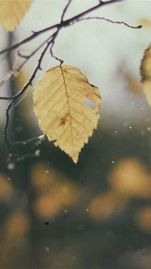 seo工具是什么截图3