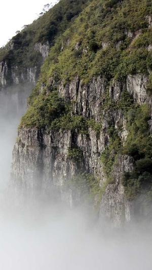 蜘蛛池软件公司截图3