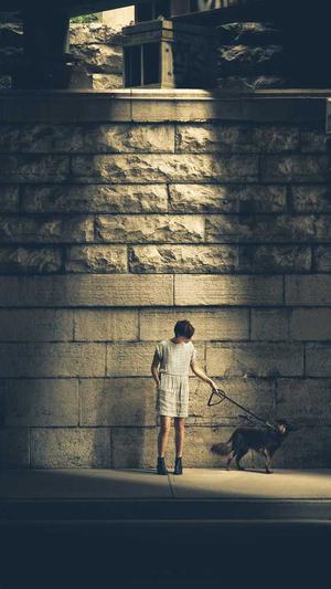 搜狗蜘蛛池关键词截图4