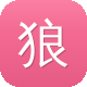 狼雨seo工具图标